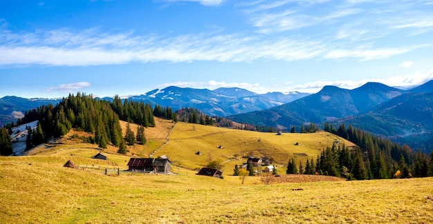 Árvore na encosta nas montanhas do outono bela paisagem brilhante com cume de montanha nebulosa à distância