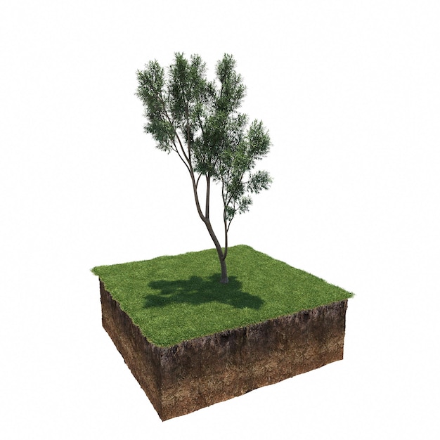 árvore na grama e uma fatia de solo sob ela, renderização 3d