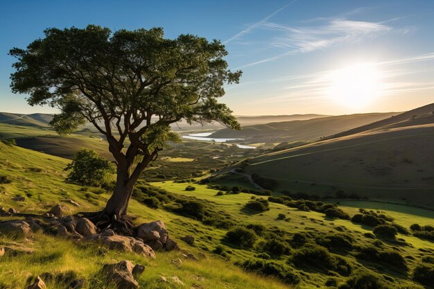 Foto Árvore solitária pela natureza generative ai