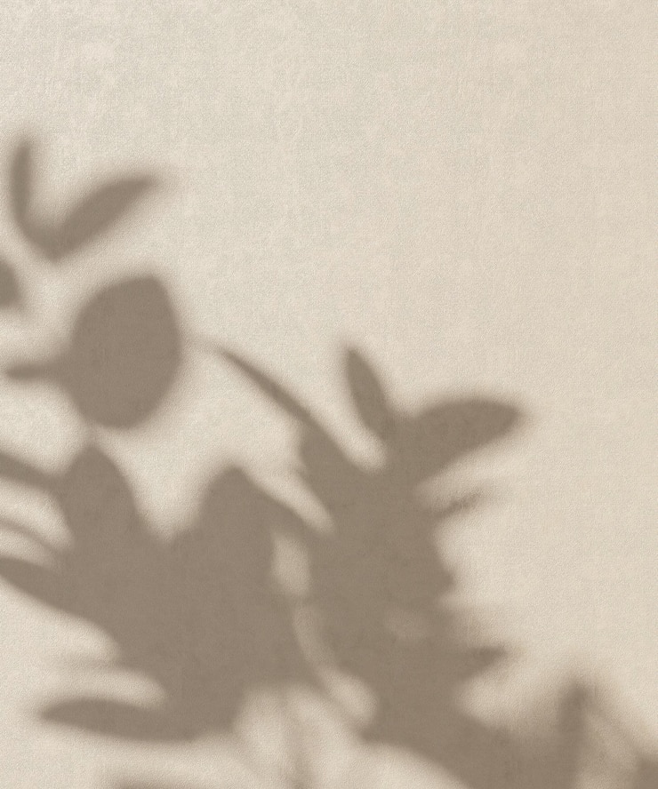 Foto árvore tropical à luz do sol com sombra de folha em branco parede de estuque marrom natural para luxo beleza orgânica moda cosméticos cuidados com a pele cuidados com o corpo design de interior decoração de fundo 3d