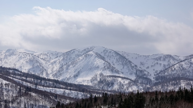 Árvores cobertas de neve em montanhas de neve do inverno.