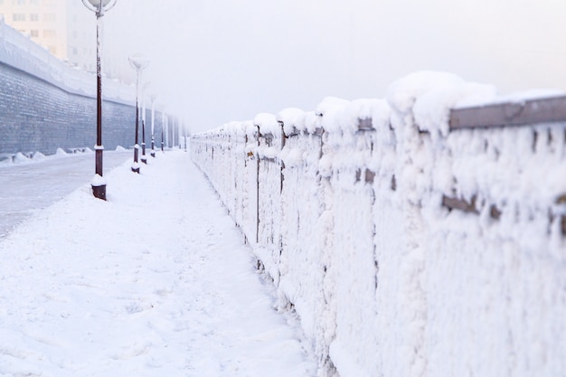 Foto Árvores cobertas de neve na sibéria, irkutsk, perto do lago baikal.