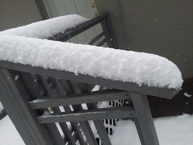 Foto Árvores cobertas de neve