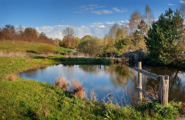 Árvores coloridas da paisagem da primavera com folhas brilhantes no reflexo da água o frescor da primavera