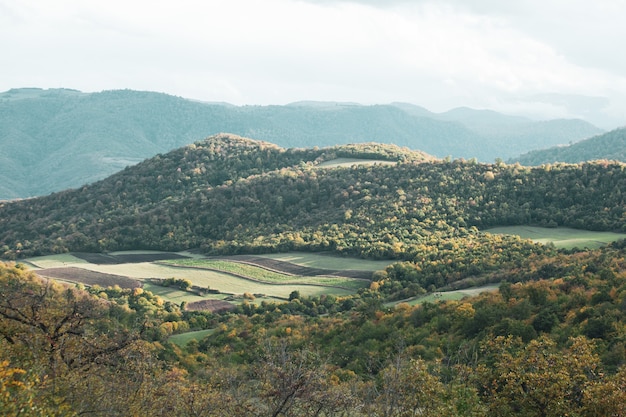 Árvores coloridas e grama verde na montanha