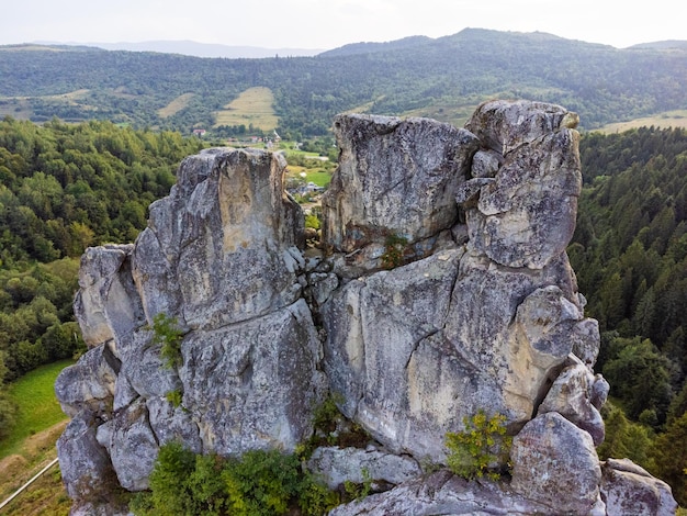 Árvores coníferas na encosta da montanha. vista aérea do drone.