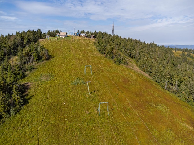 Árvores coníferas na encosta da montanha. vista aérea do drone.