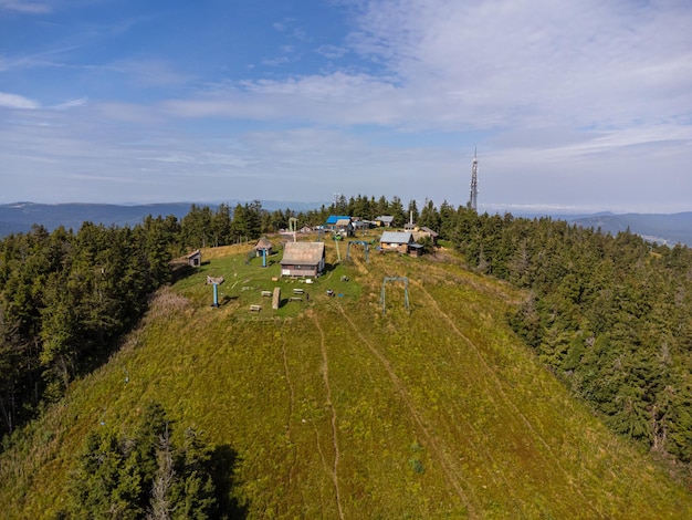 Árvores coníferas na encosta da montanha. vista aérea do drone.