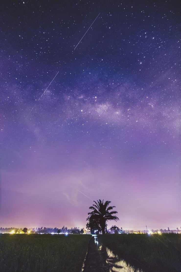 Foto árvores contra o céu à noite