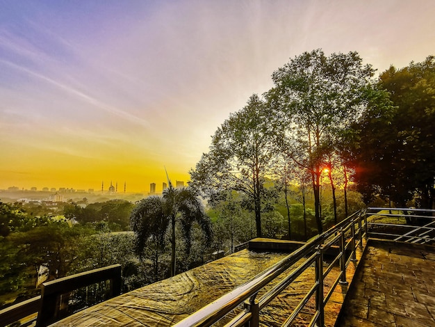 Árvores contra o céu durante o pôr do sol