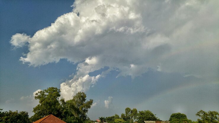 Foto árvores contra o céu nublado