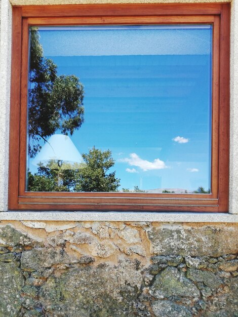 Foto Árvores contra o céu visto pela janela