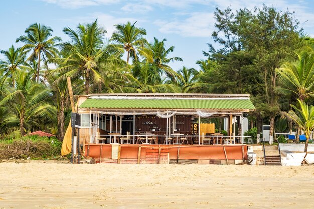 árvores de coco na costa do oceano perto de uma cabana tropical ou café aberto na praia com espreguiçadeiras