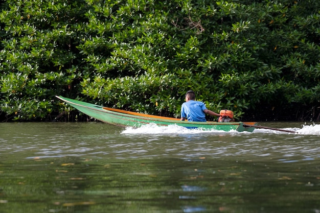 Árvores de mangue e florestas de mangue chanthaburi tailândia