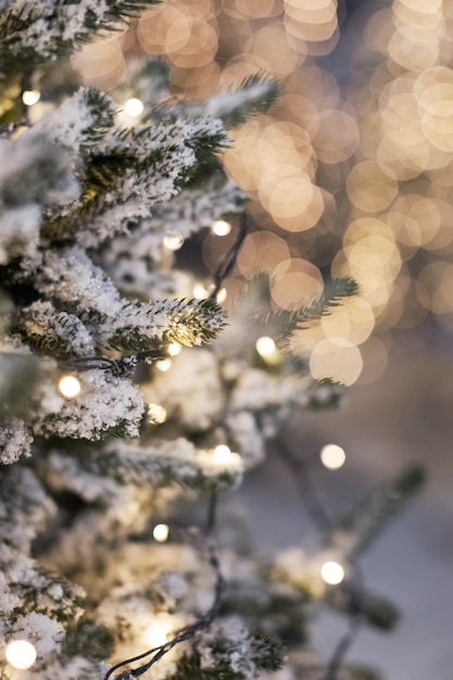 Árvores de natal com luzes e neve