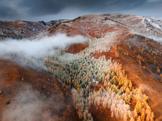 Árvores de outono amarelas nas montanhas com nuvens ao nascer do sol