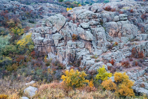 Árvores de outono e grandes blocos de pedra ao redor