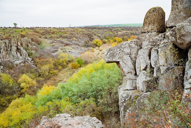 Árvores de outono e grandes blocos de pedra ao redor