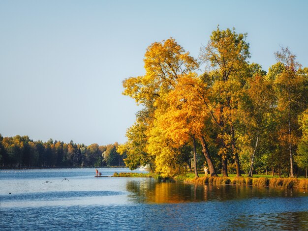 Árvores de outono na margem do lago. paisagem de outono de manhã com árvores amarelas. gatchina. rússia.