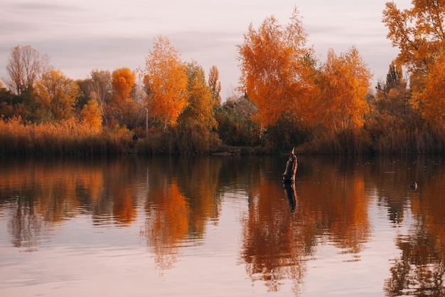 árvores de outono refletidas na água do lago