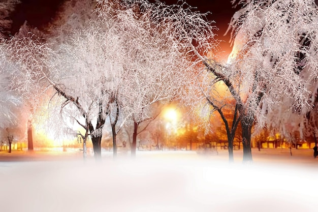 Árvores do parque da cidade de Natal da floresta de inverno cobertas por neve, boneco de neve, lanterna de rua suave à noite