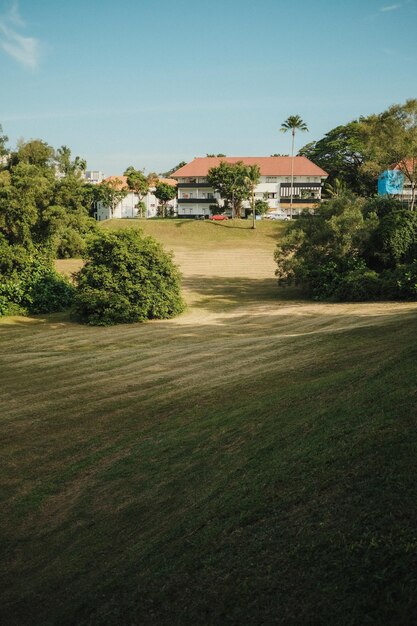 Foto Árvores e casas no campo contra o céu