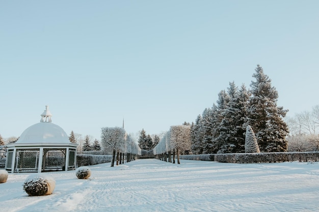 Árvores e fontes em Grand Cascade de Peterhof, Rússia no inverno