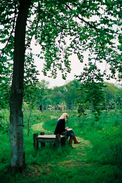 Árvores e grama alta um caminho cortado uma mulher sentada em um assento de madeira