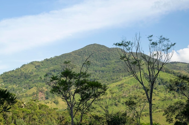 Árvores e montanhas do leste de antioquia colômbia bela naturezaárvores e montanhas do leste de antioquia colômbia bela natureza