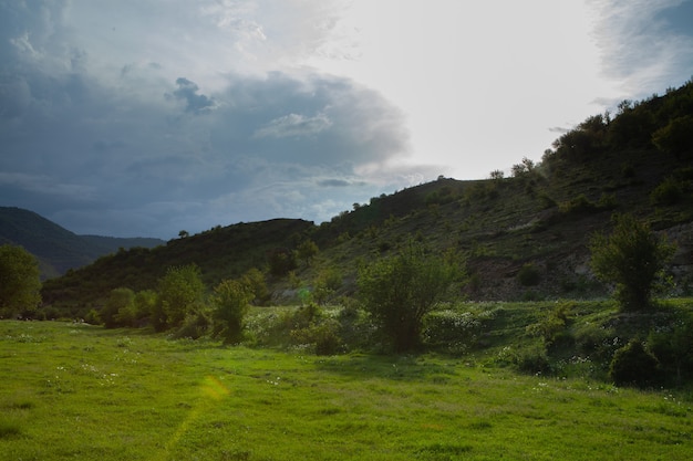 Árvores e uma colina à noite na primavera