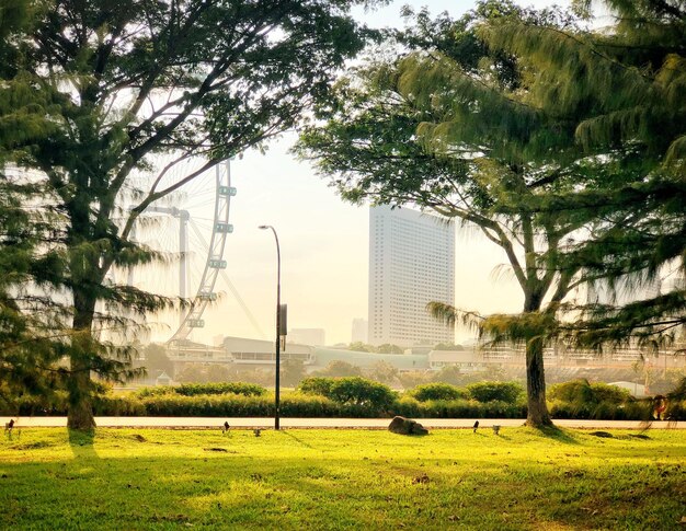 Foto Árvores em parques por cidade contra o céu