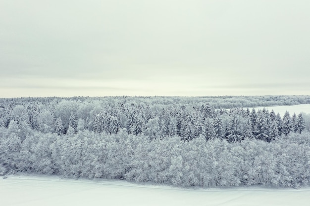 Árvores geada drone, vista abstrata fundo dezembro paisagem ao ar livre árvores neve