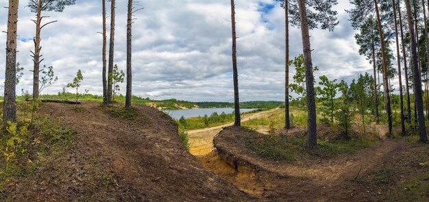 Foto Árvores na beira do penhasco e na margem do lago paisagem de verão