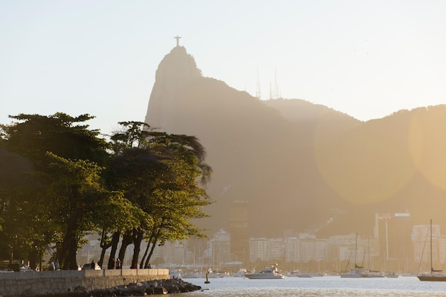 Foto Árvores na cidade contra o céu claro durante o inverno