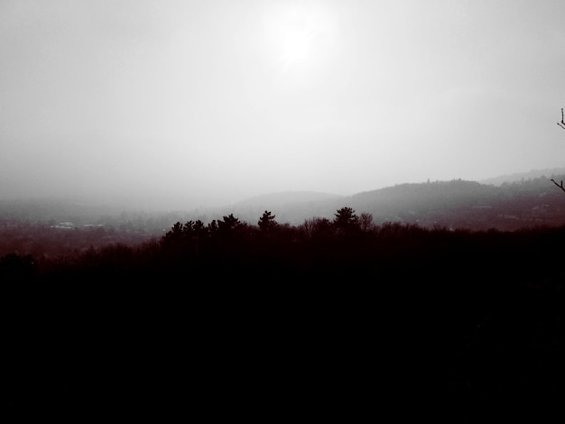 Foto Árvores na paisagem contra o céu