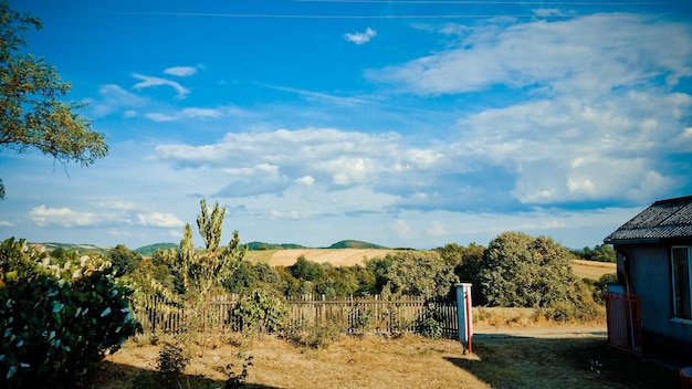 Foto Árvores na paisagem contra o céu