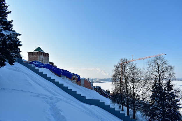 Árvores nas margens do volga no inverno