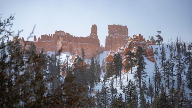 árvores nevadas e enormes formações rochosas durante o inverno no parque nacional de bryce canyon no inverno