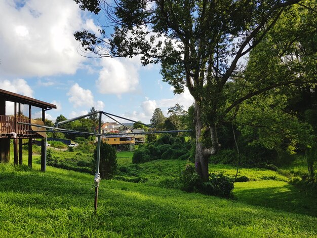 Foto Árvores no campo contra o céu