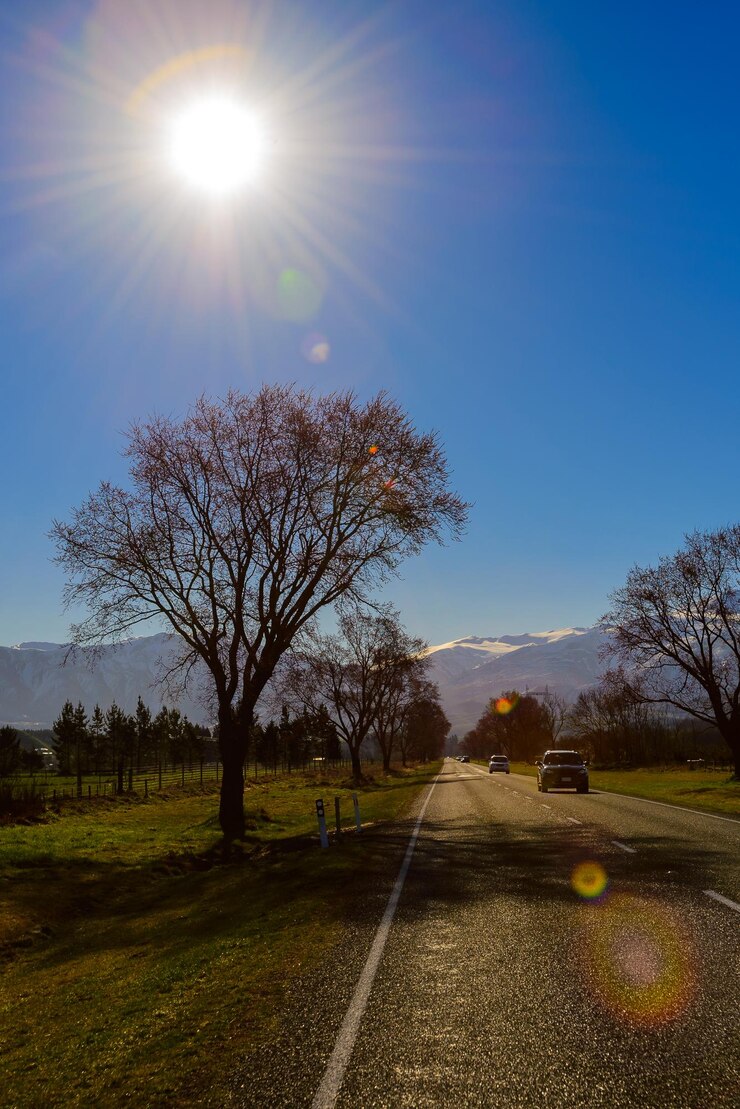 Foto árvores no campo contra o céu