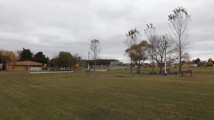 Foto árvores no campo contra o céu