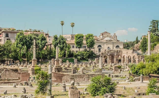 Árvores no fórum romano contra o céu