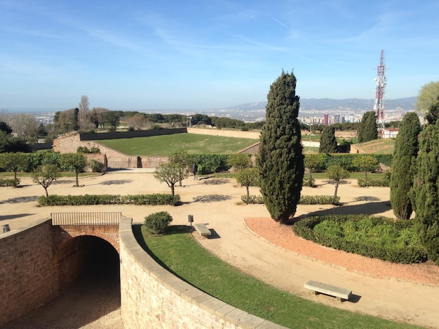 Árvores no jardim histórico contra o céu