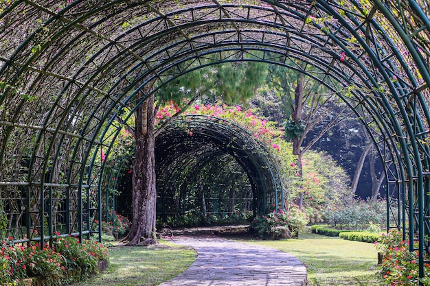 Árvores no jardim