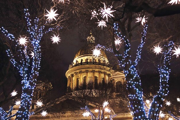 Foto Árvores no parque perto da catedral iluminadas com guirlandas de natal e estrelas à noite
