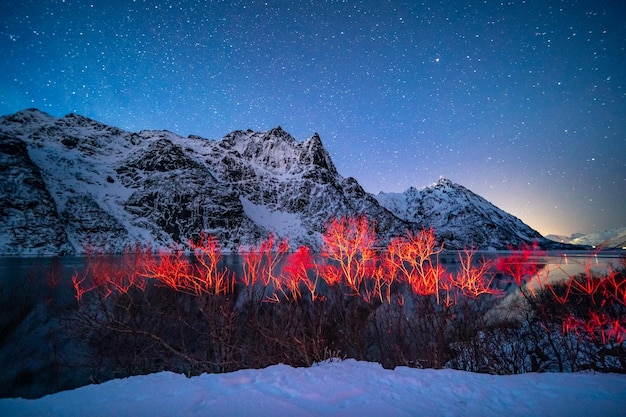 Árvores nuas na margem do lago contra montanhas cobertas de neve
