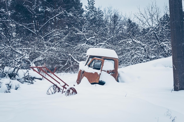Árvores nuas num campo coberto de neve