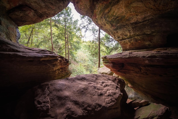 Foto Árvores vistas através de formações rochosas