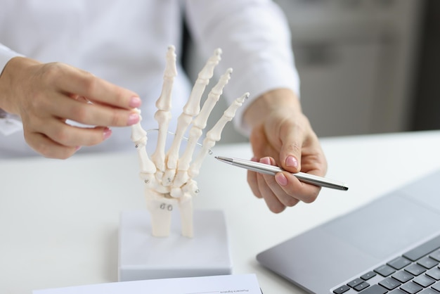 Arzt untersucht Handmodell eines menschlichen Skeletts