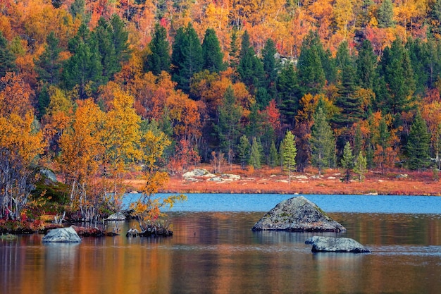 Foto as árvores coloridas da paisagem do outono que refletem na superfície calma da água